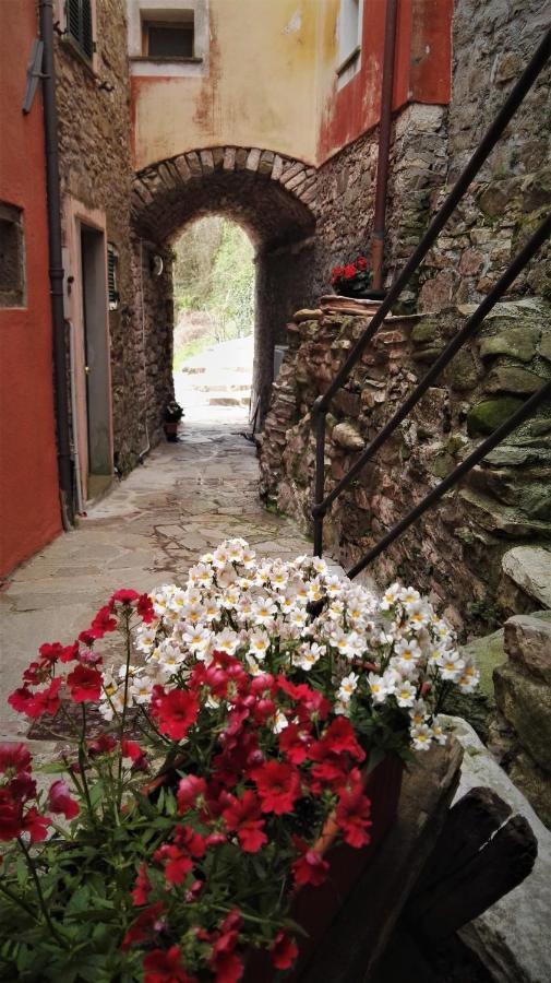 Borgo Di Codeglia - Country Rooms Riccò del Golfo di Spezia Dış mekan fotoğraf